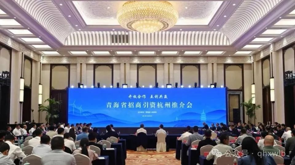 陈棋受邀参与青海省招商引资荆门推介会